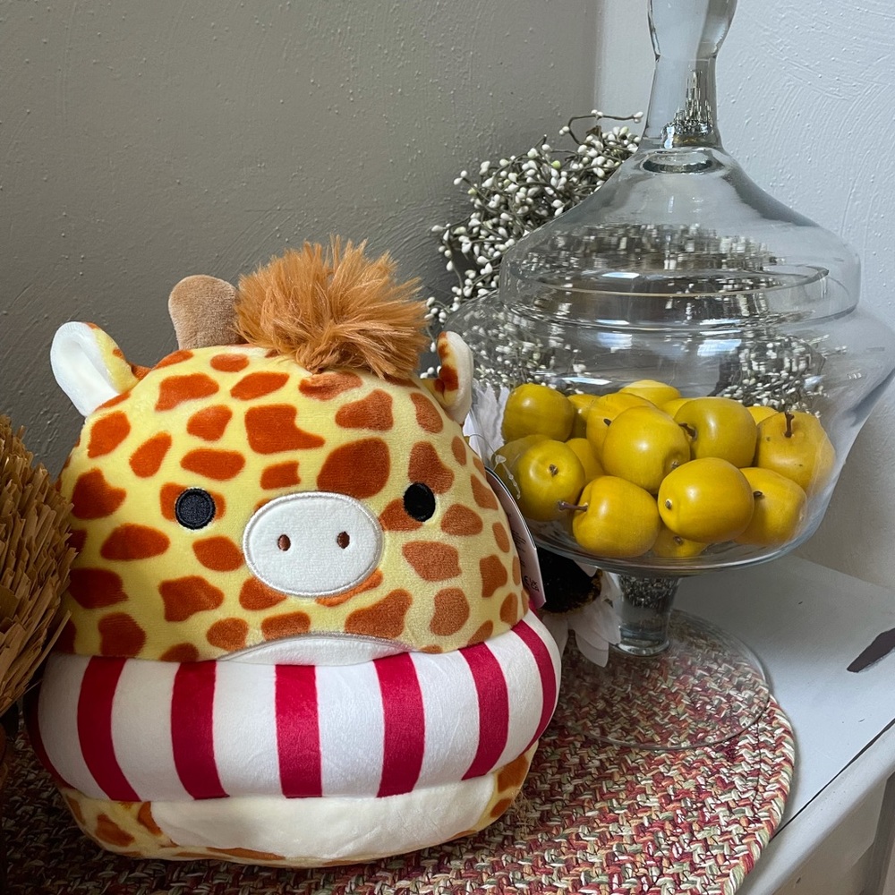Limited Edition Gary the Giraffe squishmallow